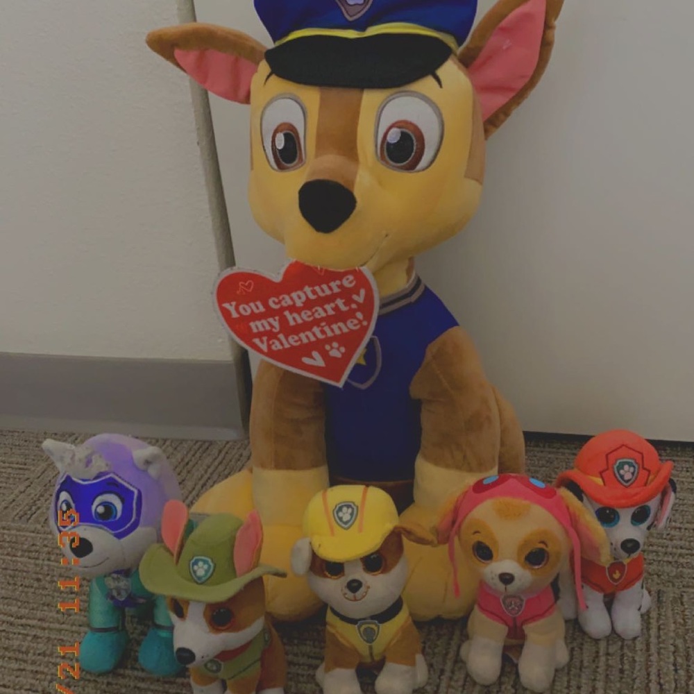 Paw patrol set